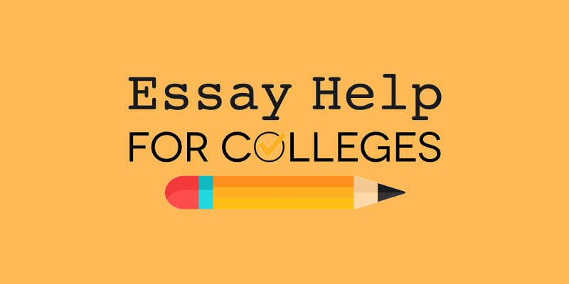 Essay Help for College | SBS Success Story